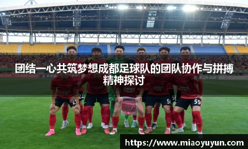 团结一心共筑梦想成都足球队的团队协作与拼搏精神探讨